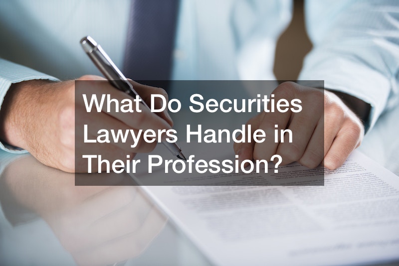 What Do Securities Lawyers Handle in Their Profession?